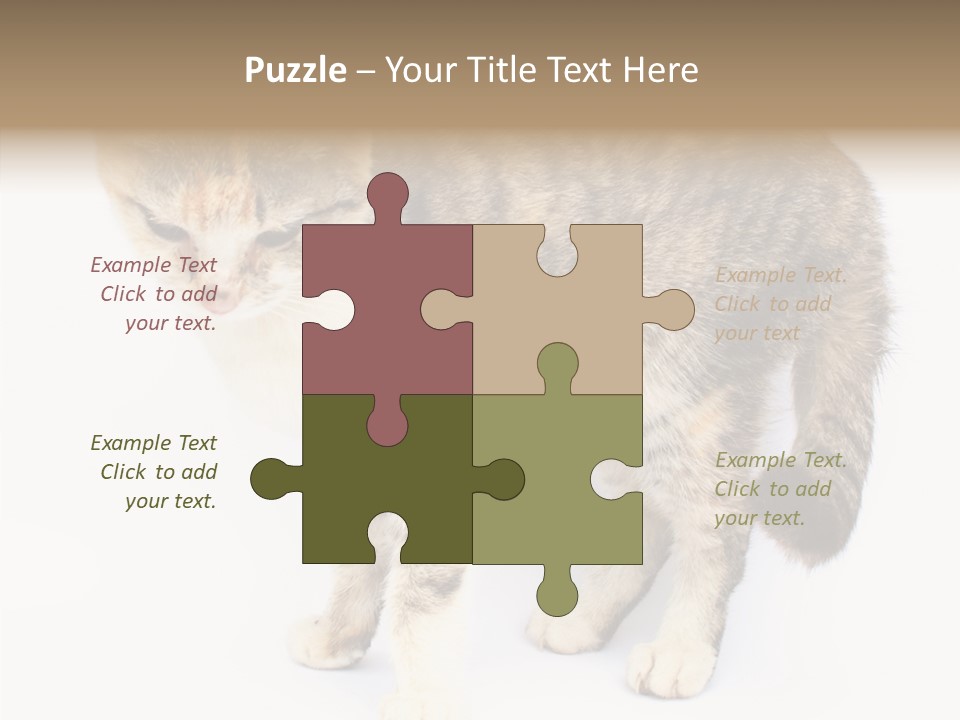 Grooming Smoke Sleep PowerPoint Template