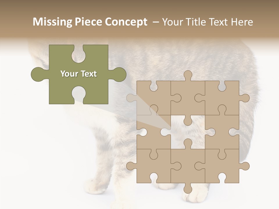 Grooming Smoke Sleep PowerPoint Template