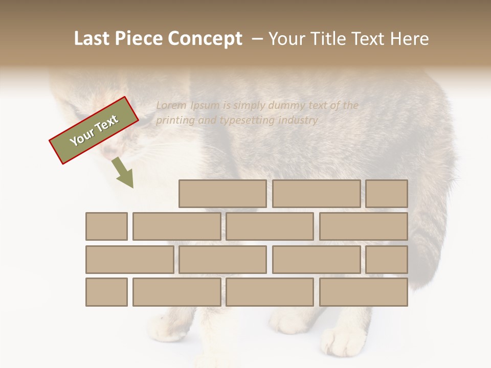 Grooming Smoke Sleep PowerPoint Template