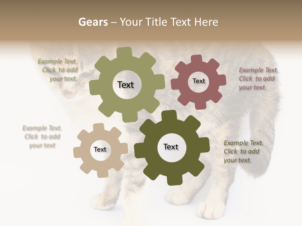 Grooming Smoke Sleep PowerPoint Template