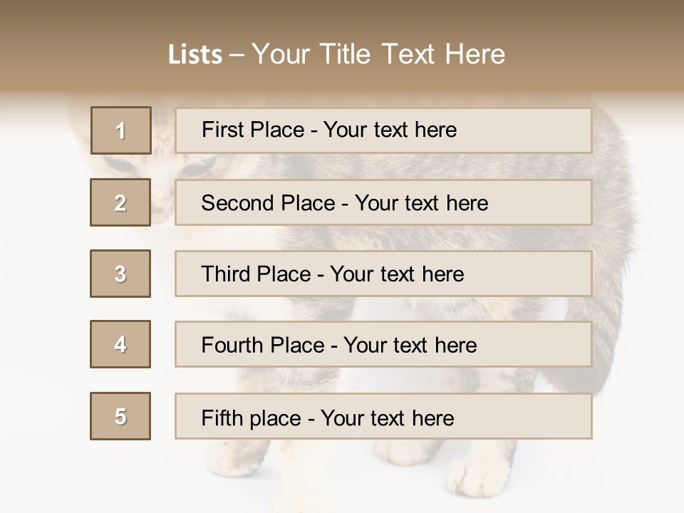 Grooming Smoke Sleep PowerPoint Template