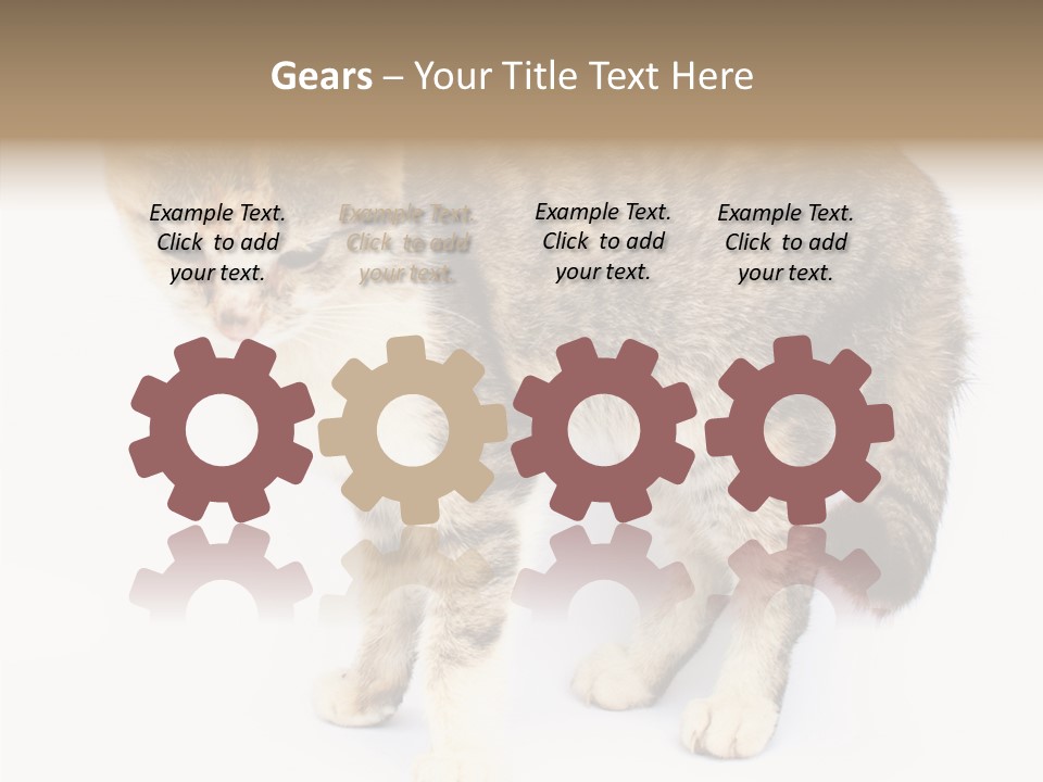 Grooming Smoke Sleep PowerPoint Template