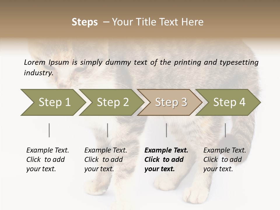 Grooming Smoke Sleep PowerPoint Template