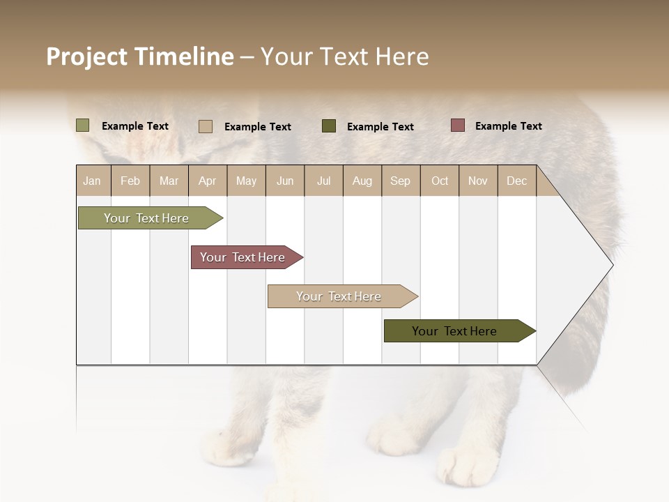 Grooming Smoke Sleep PowerPoint Template