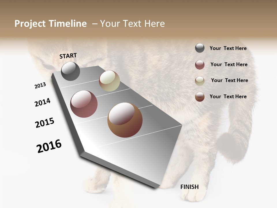 Grooming Smoke Sleep PowerPoint Template