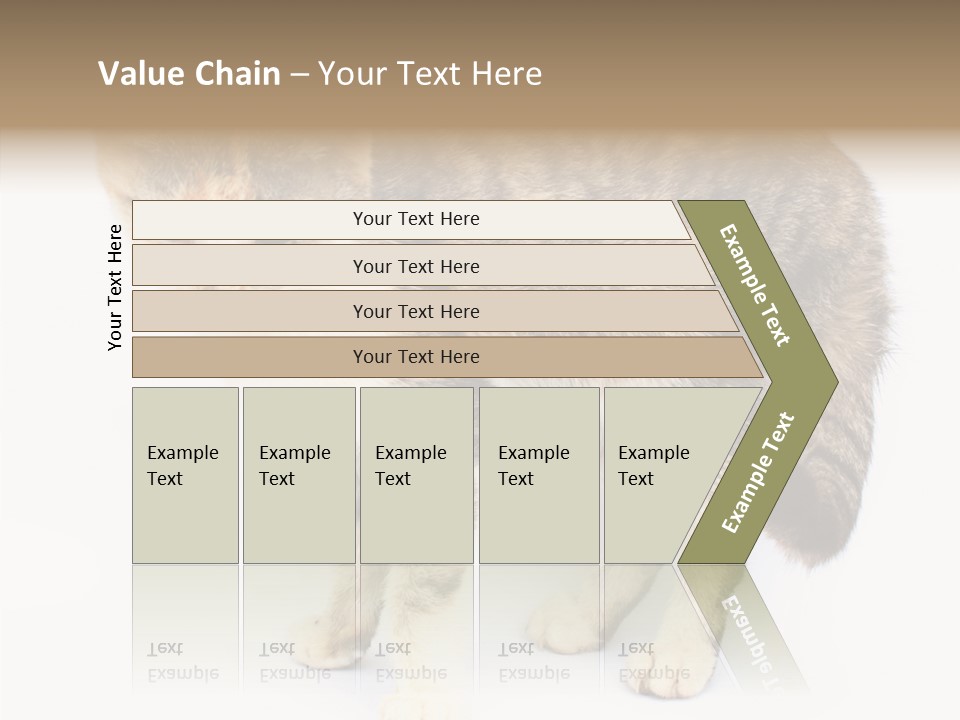 Grooming Smoke Sleep PowerPoint Template