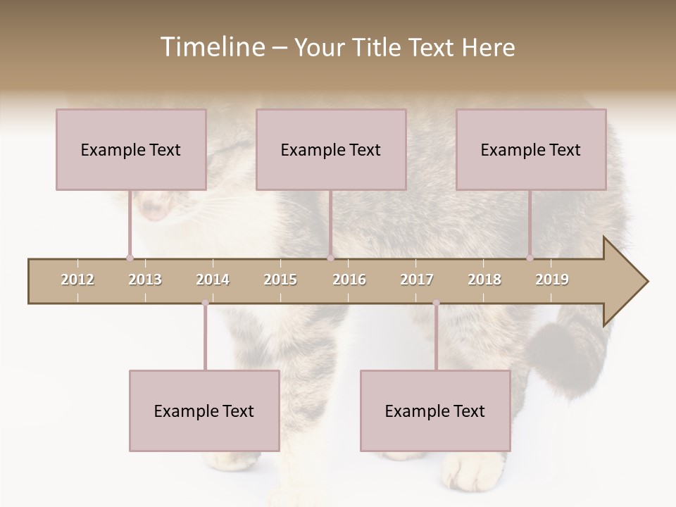 Grooming Smoke Sleep PowerPoint Template