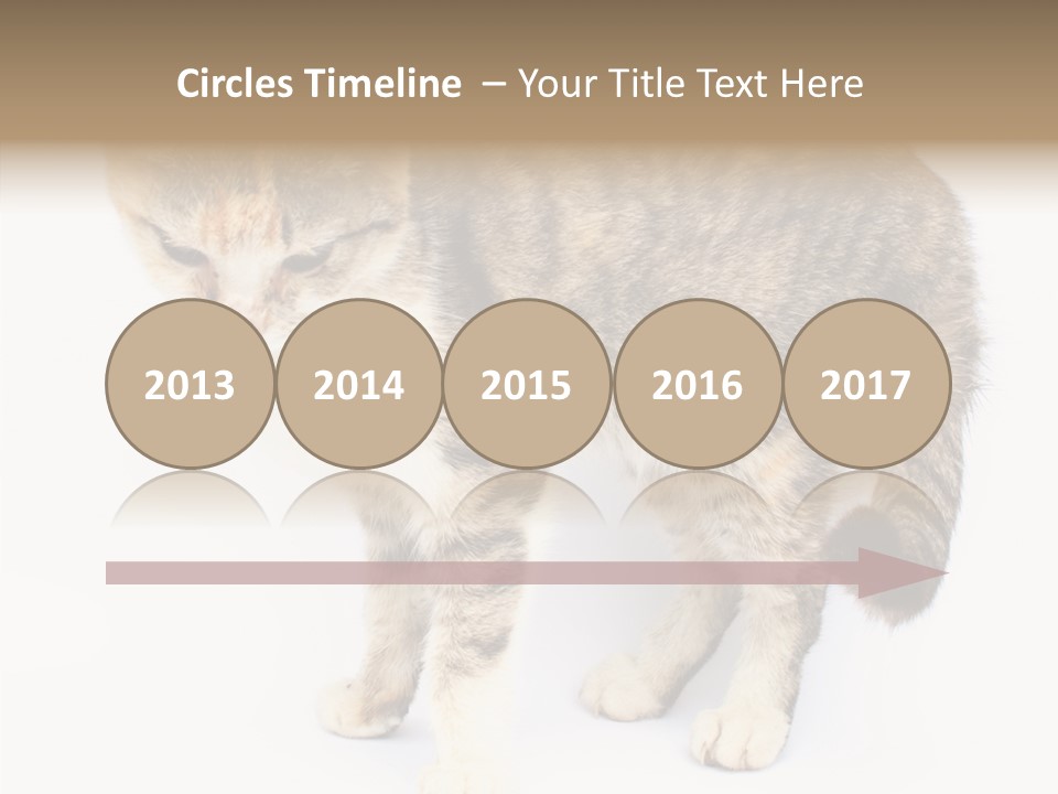 Grooming Smoke Sleep PowerPoint Template