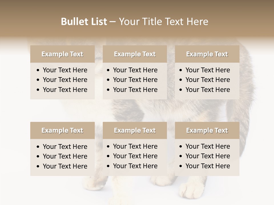 Grooming Smoke Sleep PowerPoint Template