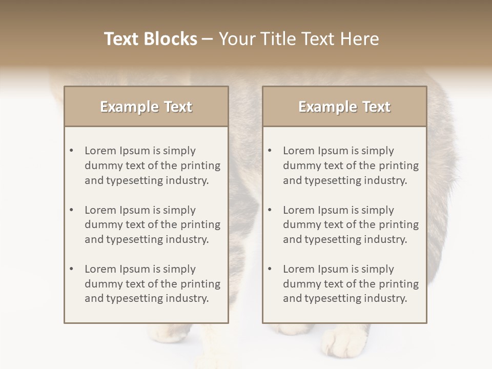 Grooming Smoke Sleep PowerPoint Template