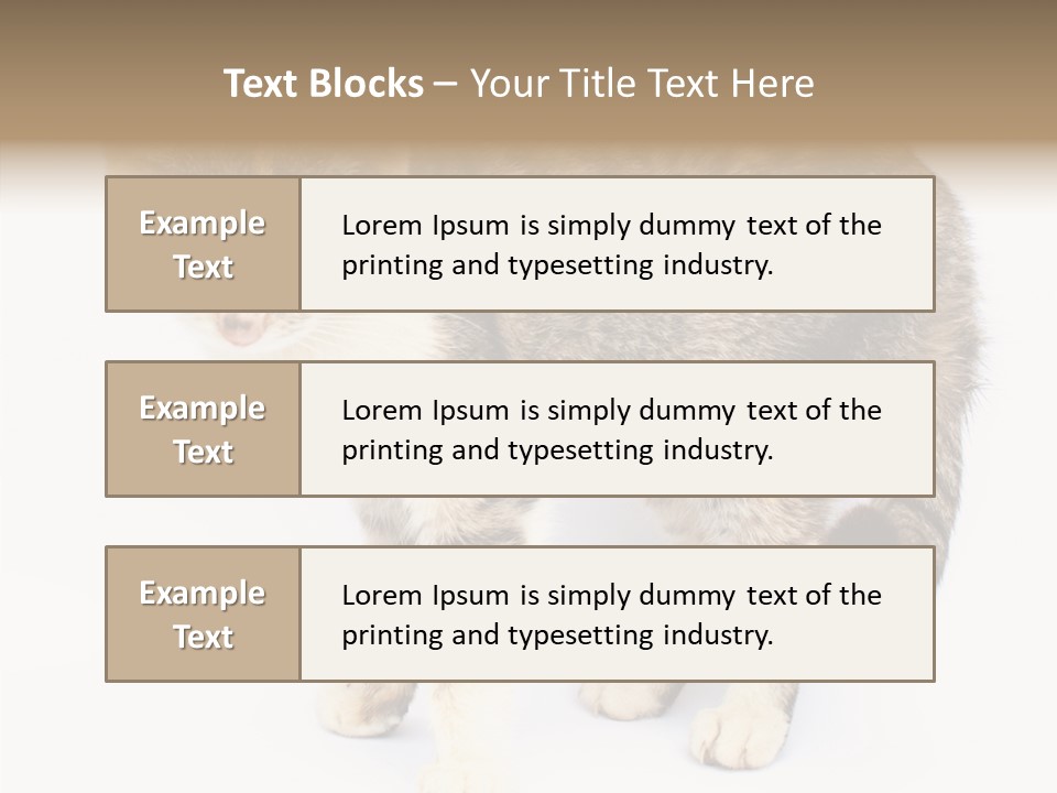 Grooming Smoke Sleep PowerPoint Template