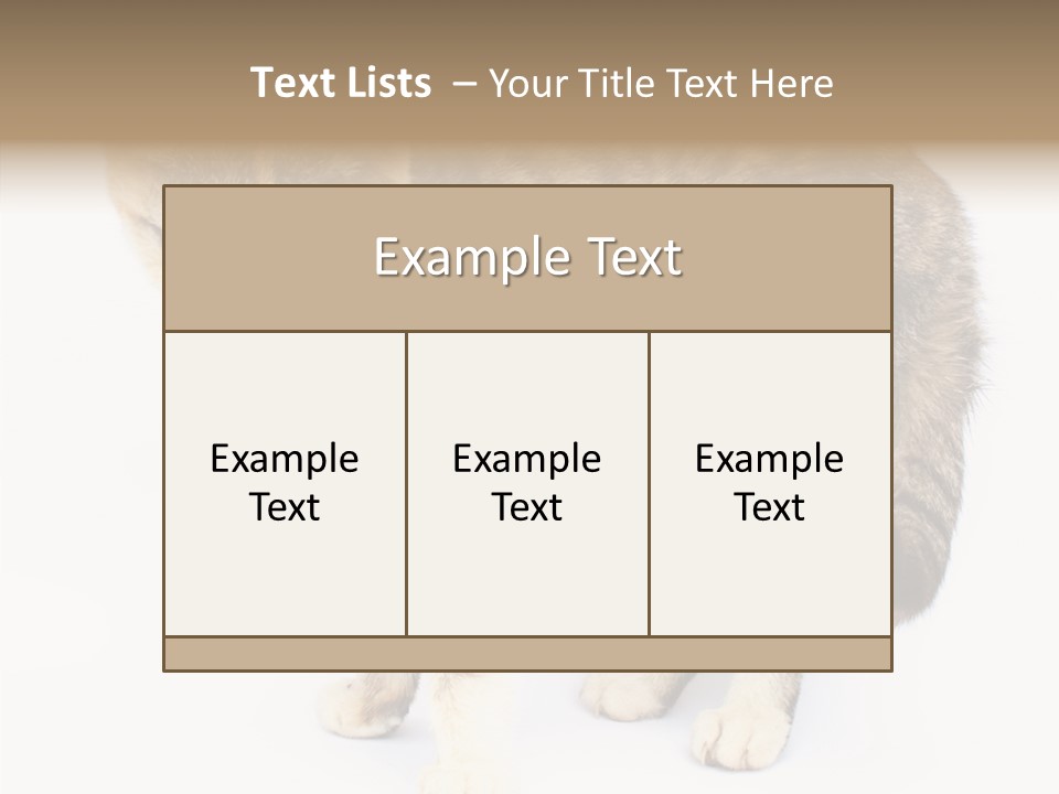 Grooming Smoke Sleep PowerPoint Template