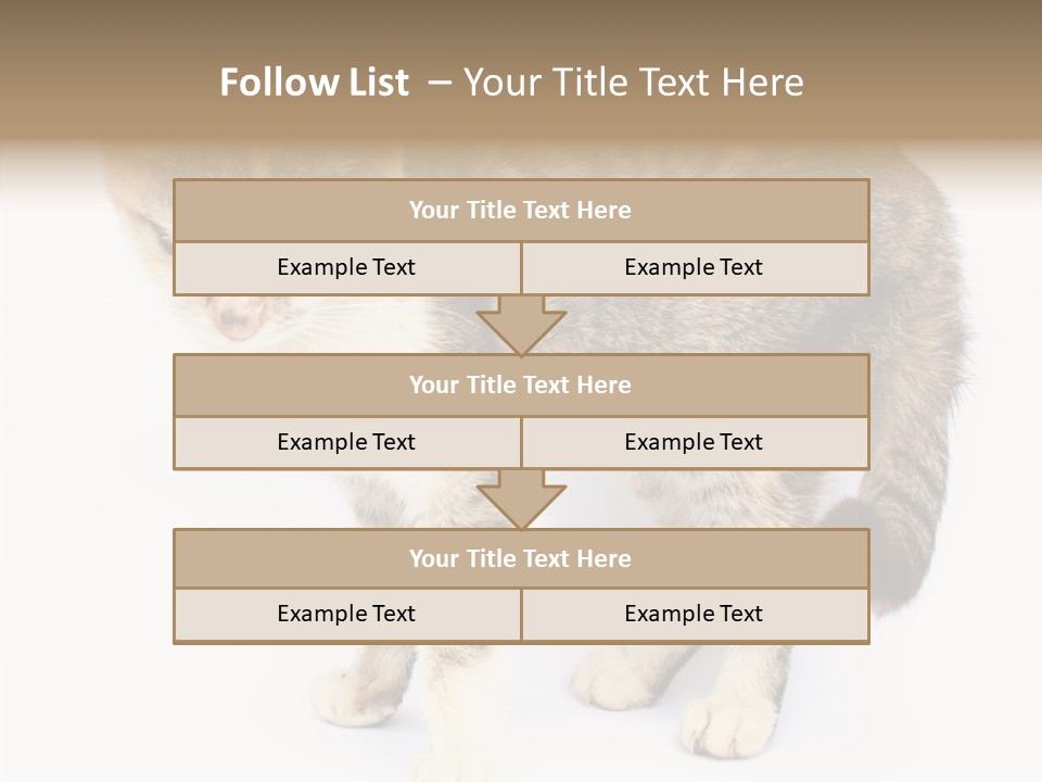 Grooming Smoke Sleep PowerPoint Template