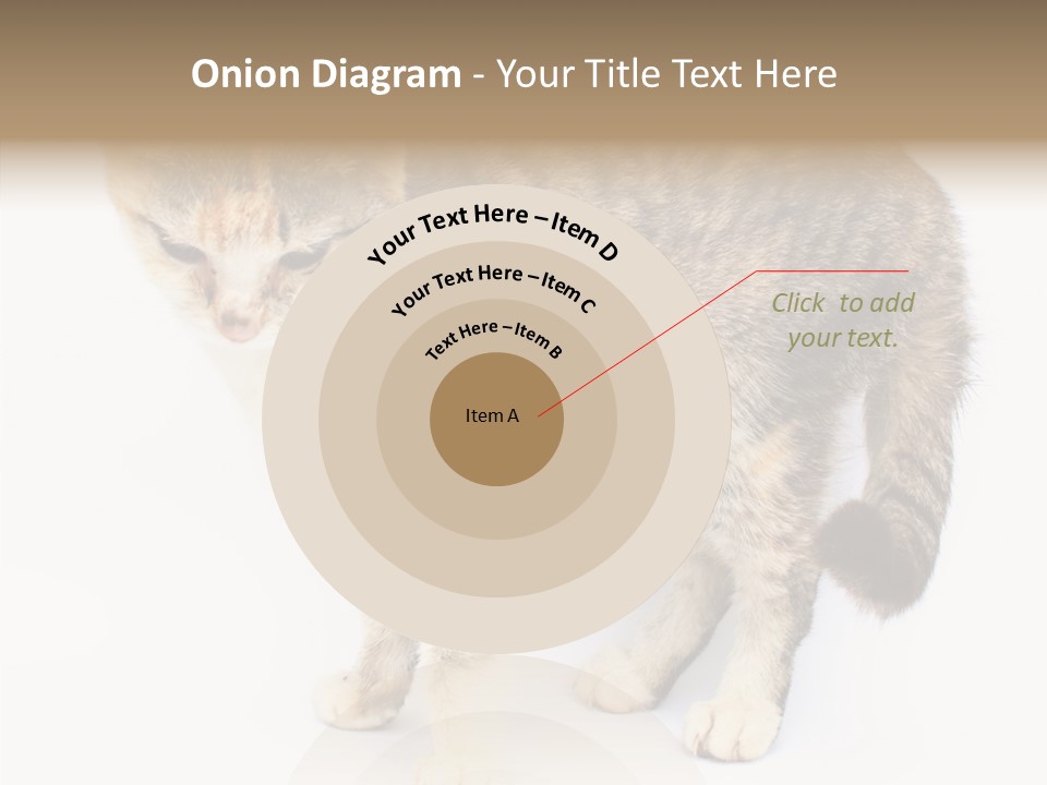 Grooming Smoke Sleep PowerPoint Template