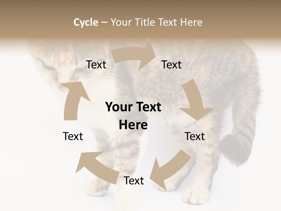 Grooming Smoke Sleep PowerPoint Template