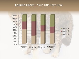 Grooming Smoke Sleep PowerPoint Template