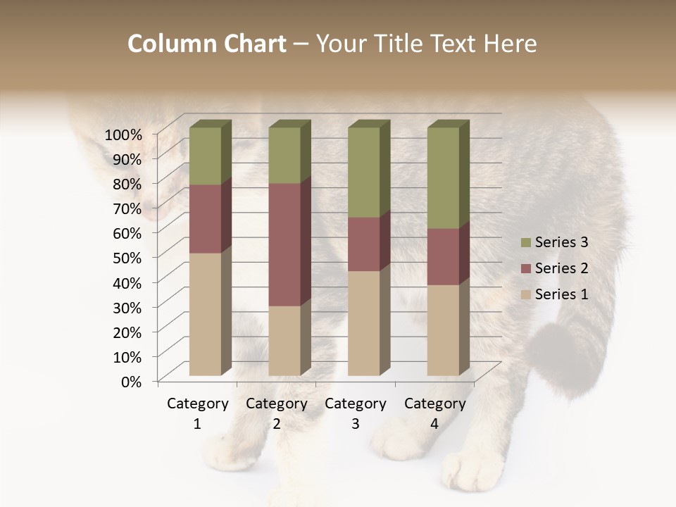 Grooming Smoke Sleep PowerPoint Template