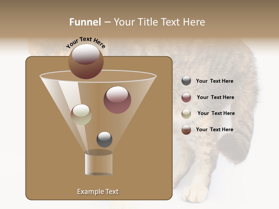 Grooming Smoke Sleep PowerPoint Template