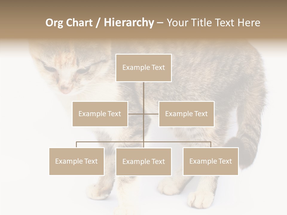 Grooming Smoke Sleep PowerPoint Template