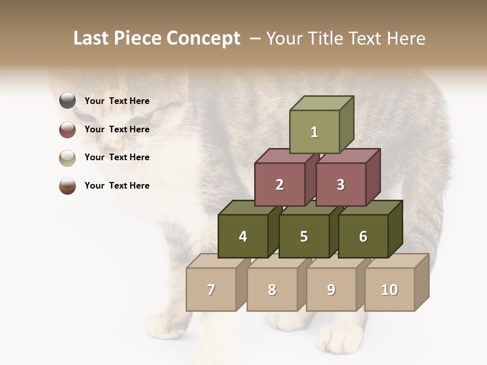 Grooming Smoke Sleep PowerPoint Template