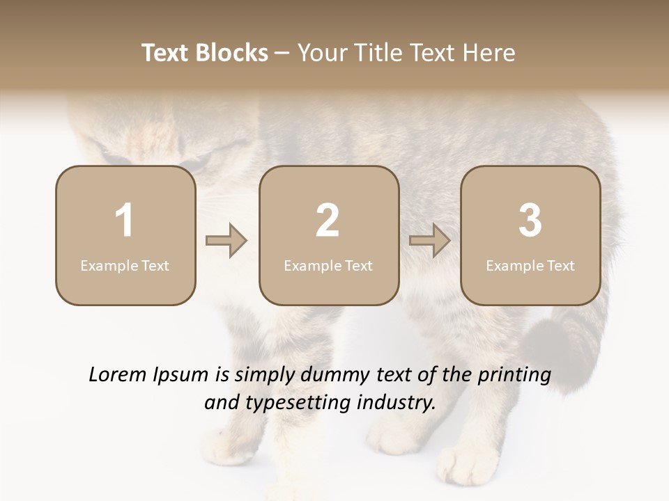 Grooming Smoke Sleep PowerPoint Template