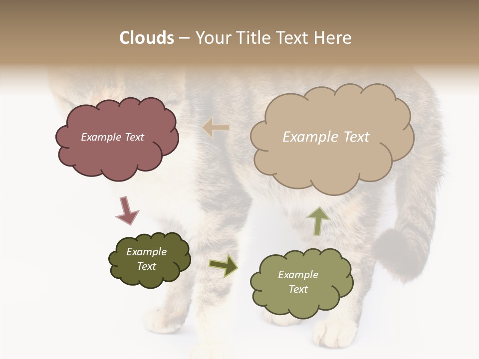 Grooming Smoke Sleep PowerPoint Template