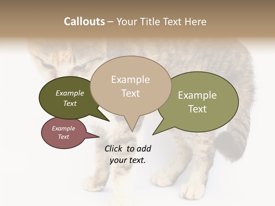 Grooming Smoke Sleep PowerPoint Template