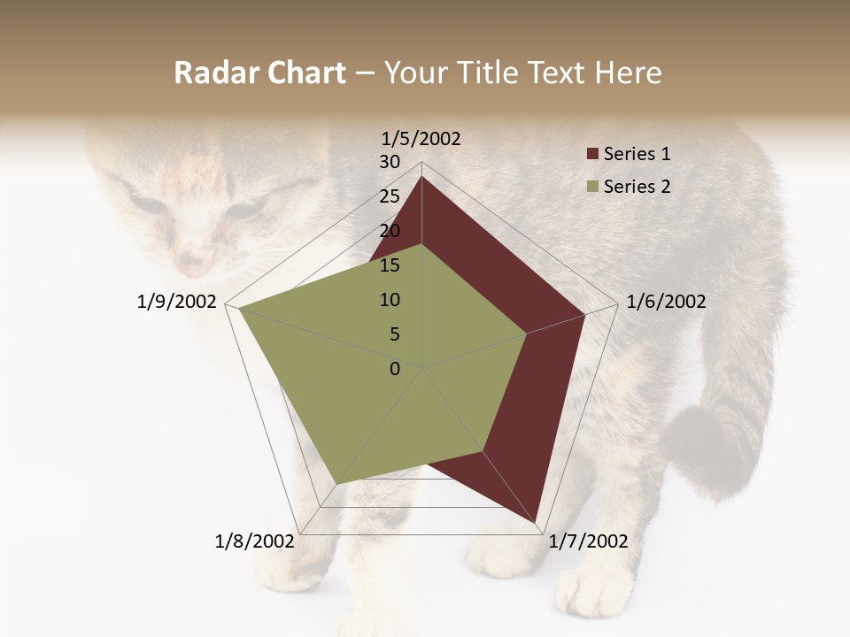 Grooming Smoke Sleep PowerPoint Template