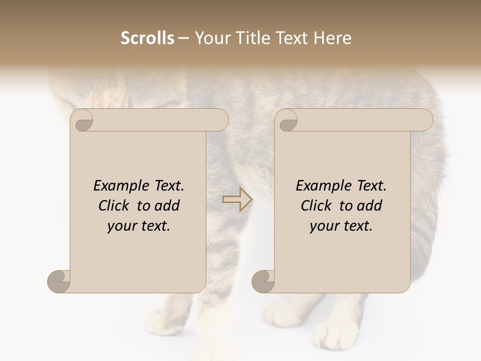Grooming Smoke Sleep PowerPoint Template