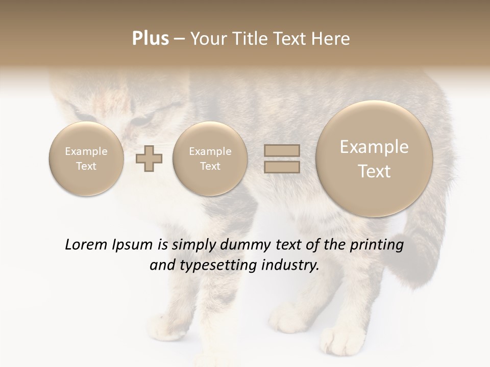 Grooming Smoke Sleep PowerPoint Template