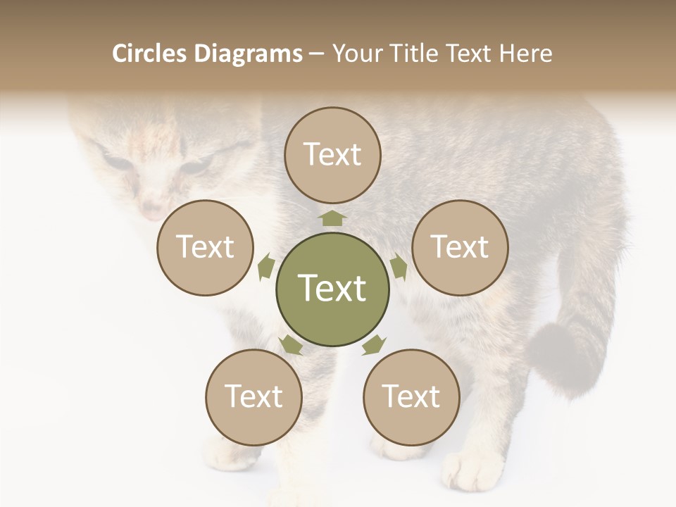 Grooming Smoke Sleep PowerPoint Template