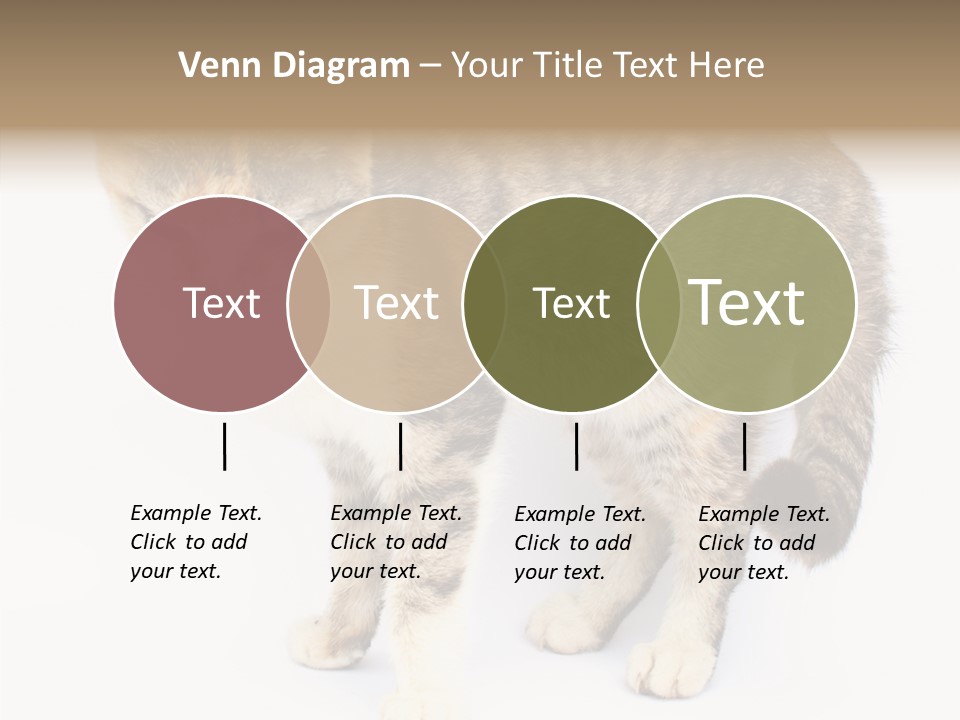 Grooming Smoke Sleep PowerPoint Template
