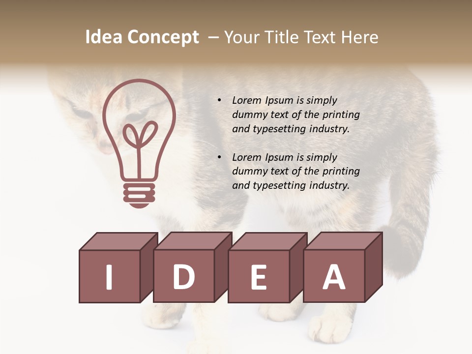 Grooming Smoke Sleep PowerPoint Template