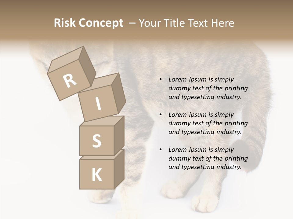 Grooming Smoke Sleep PowerPoint Template