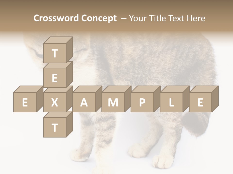 Grooming Smoke Sleep PowerPoint Template