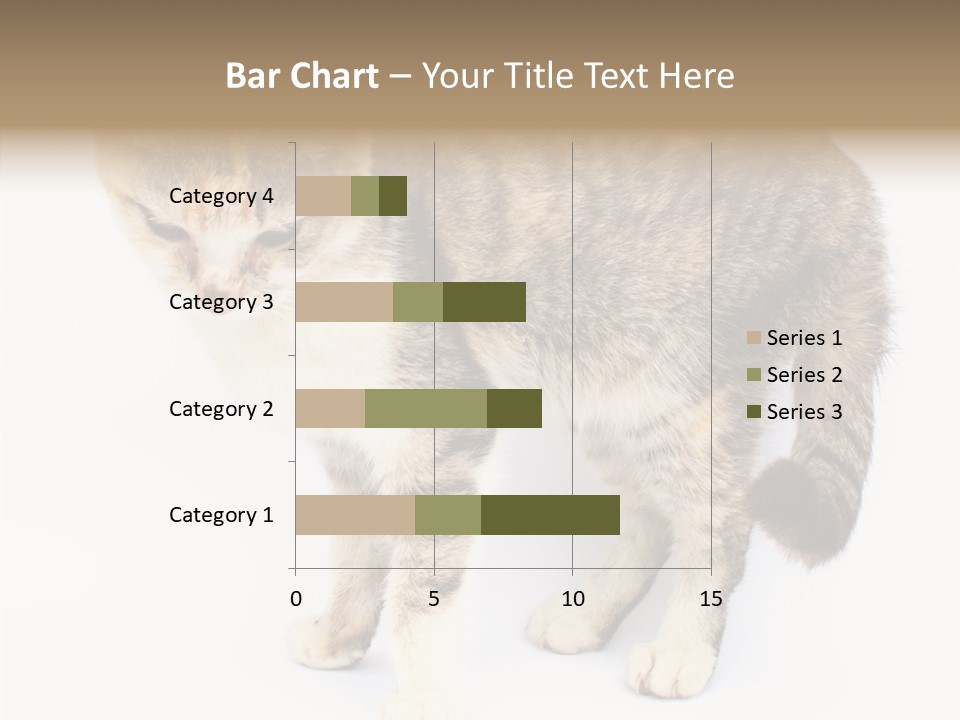 Grooming Smoke Sleep PowerPoint Template