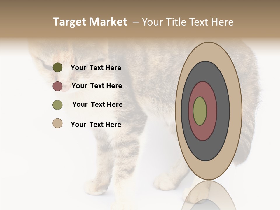 Grooming Smoke Sleep PowerPoint Template