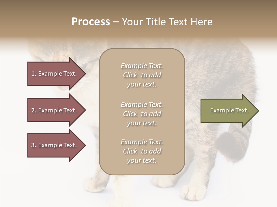 Grooming Smoke Sleep PowerPoint Template