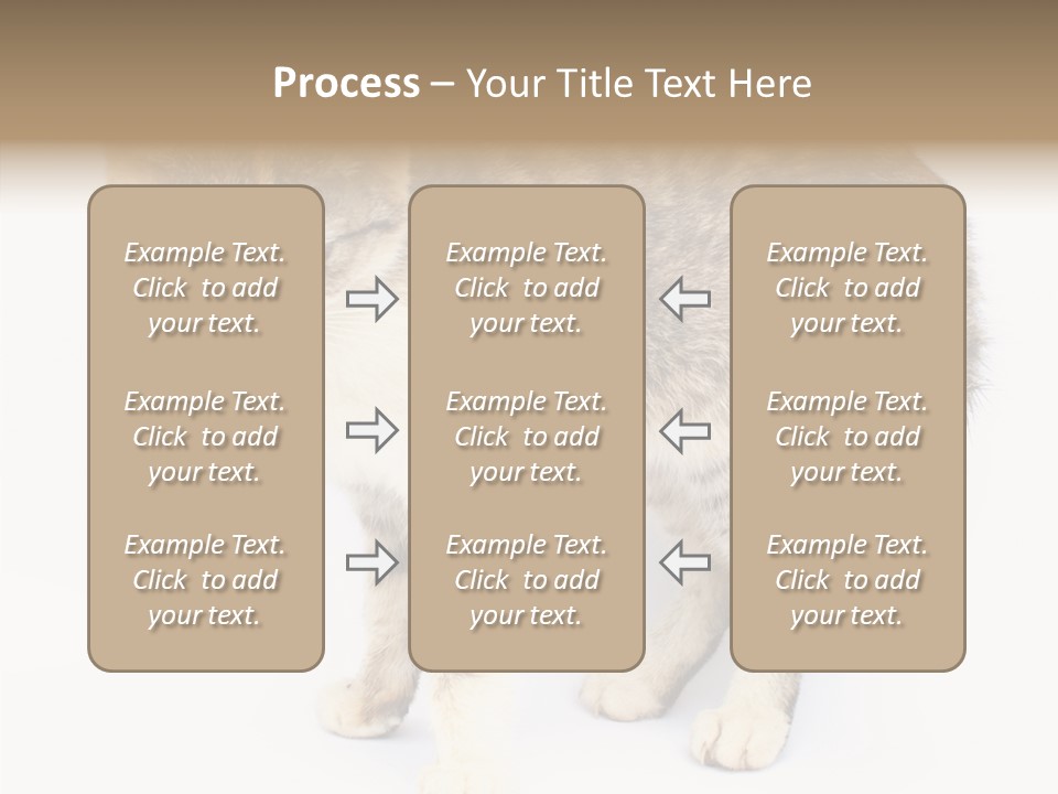 Grooming Smoke Sleep PowerPoint Template