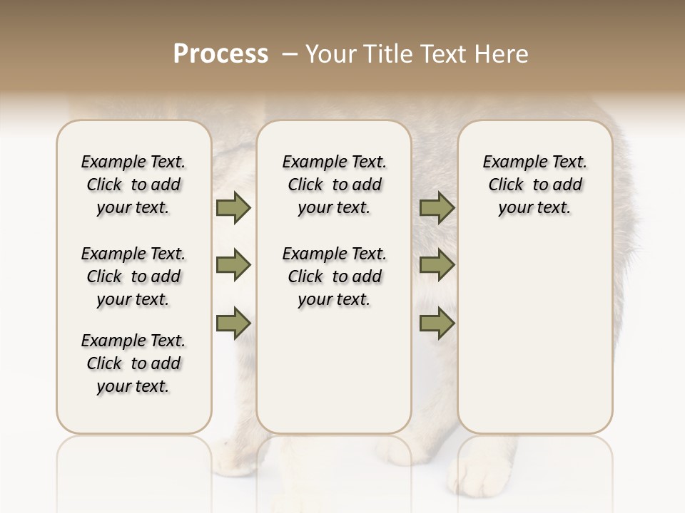 Grooming Smoke Sleep PowerPoint Template