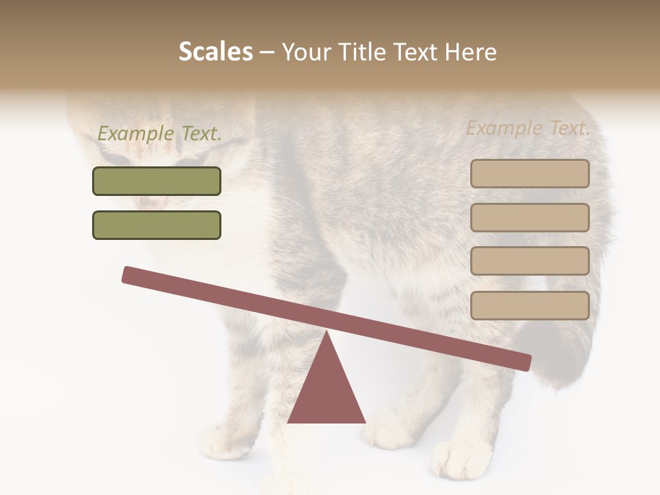 Grooming Smoke Sleep PowerPoint Template