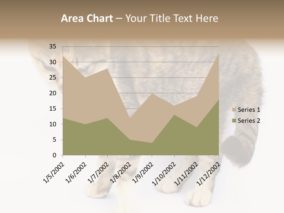 Grooming Smoke Sleep PowerPoint Template