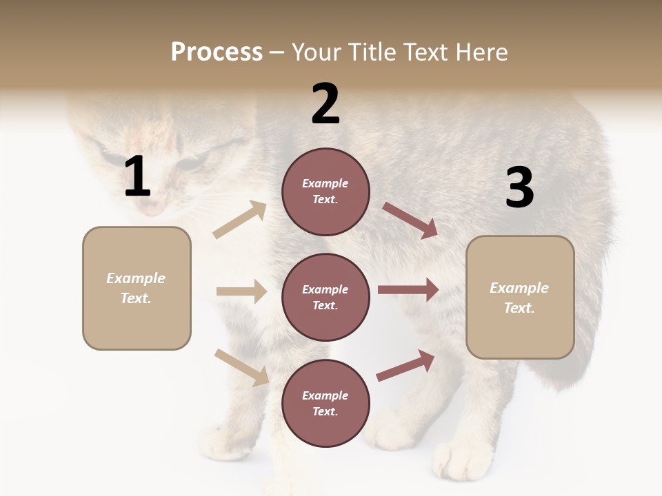 Grooming Smoke Sleep PowerPoint Template