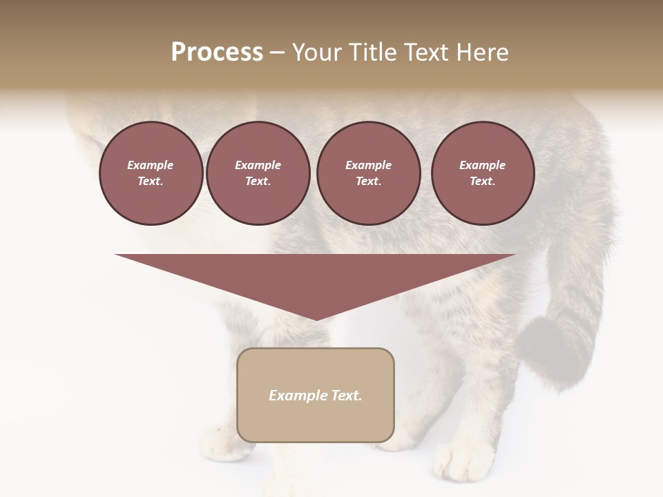 Grooming Smoke Sleep PowerPoint Template