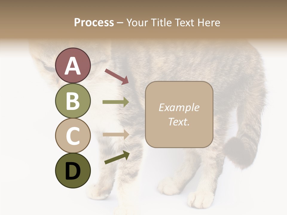 Grooming Smoke Sleep PowerPoint Template