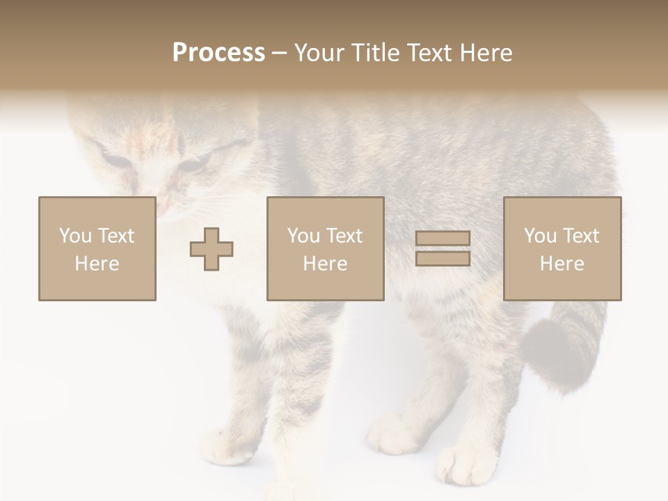 Grooming Smoke Sleep PowerPoint Template