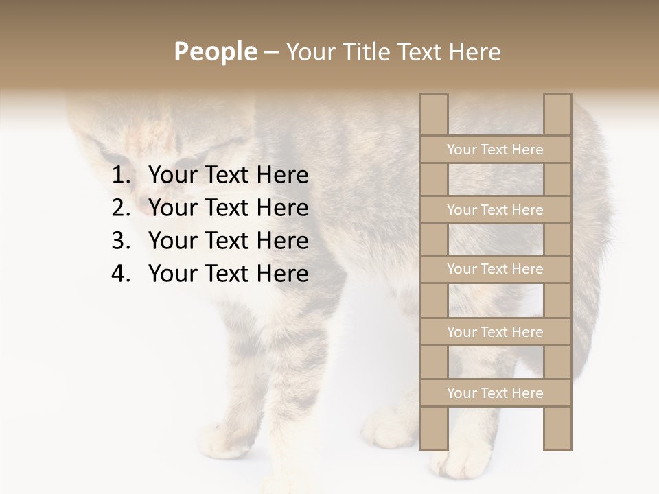 Grooming Smoke Sleep PowerPoint Template