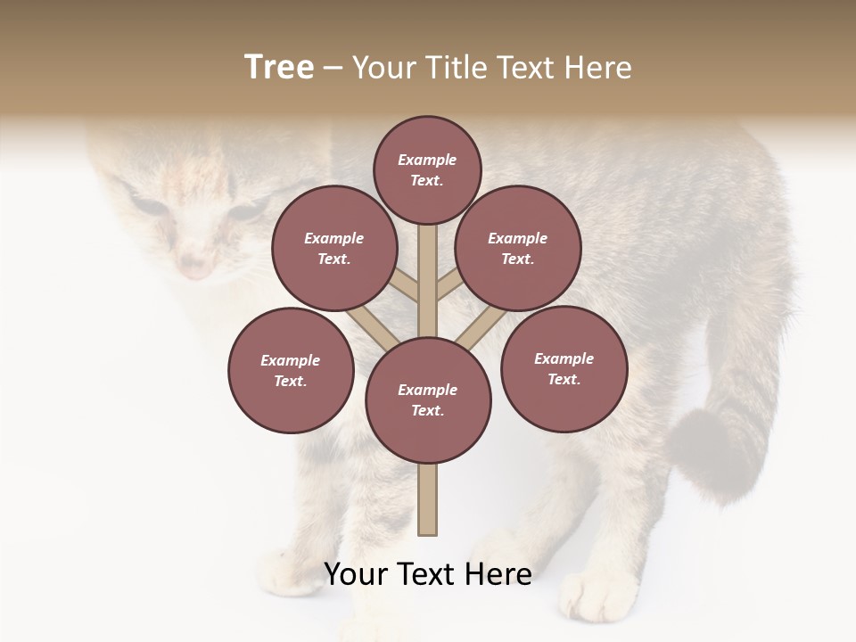 Grooming Smoke Sleep PowerPoint Template