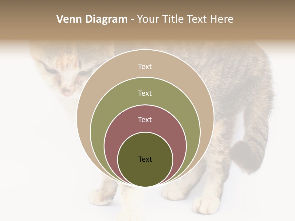 Grooming Smoke Sleep PowerPoint Template