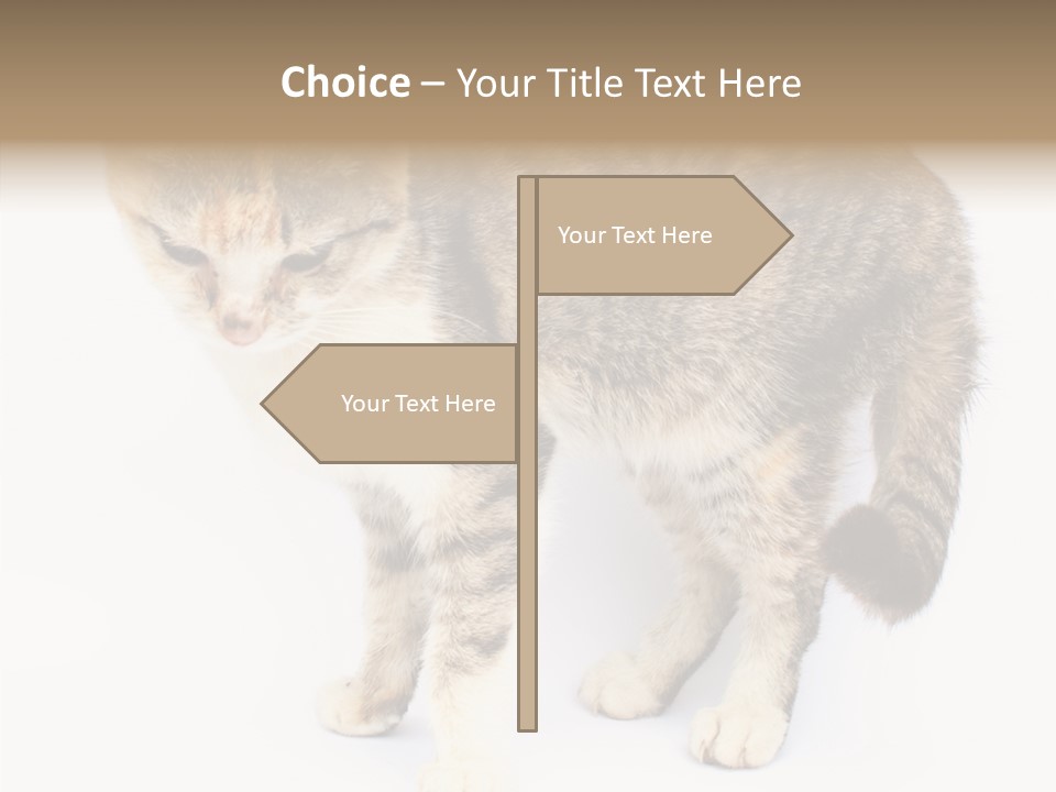 Grooming Smoke Sleep PowerPoint Template